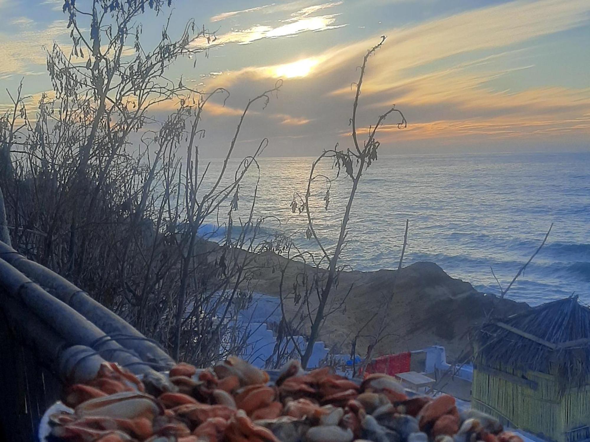 Tamri Beach House Dış mekan fotoğraf